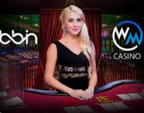 333体育官网下载正式版