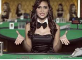 333体育官网下载